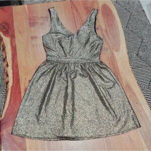 EVENING- One Clothing- Warm Silver-Metallic Skater Pleated Party Dress- Small